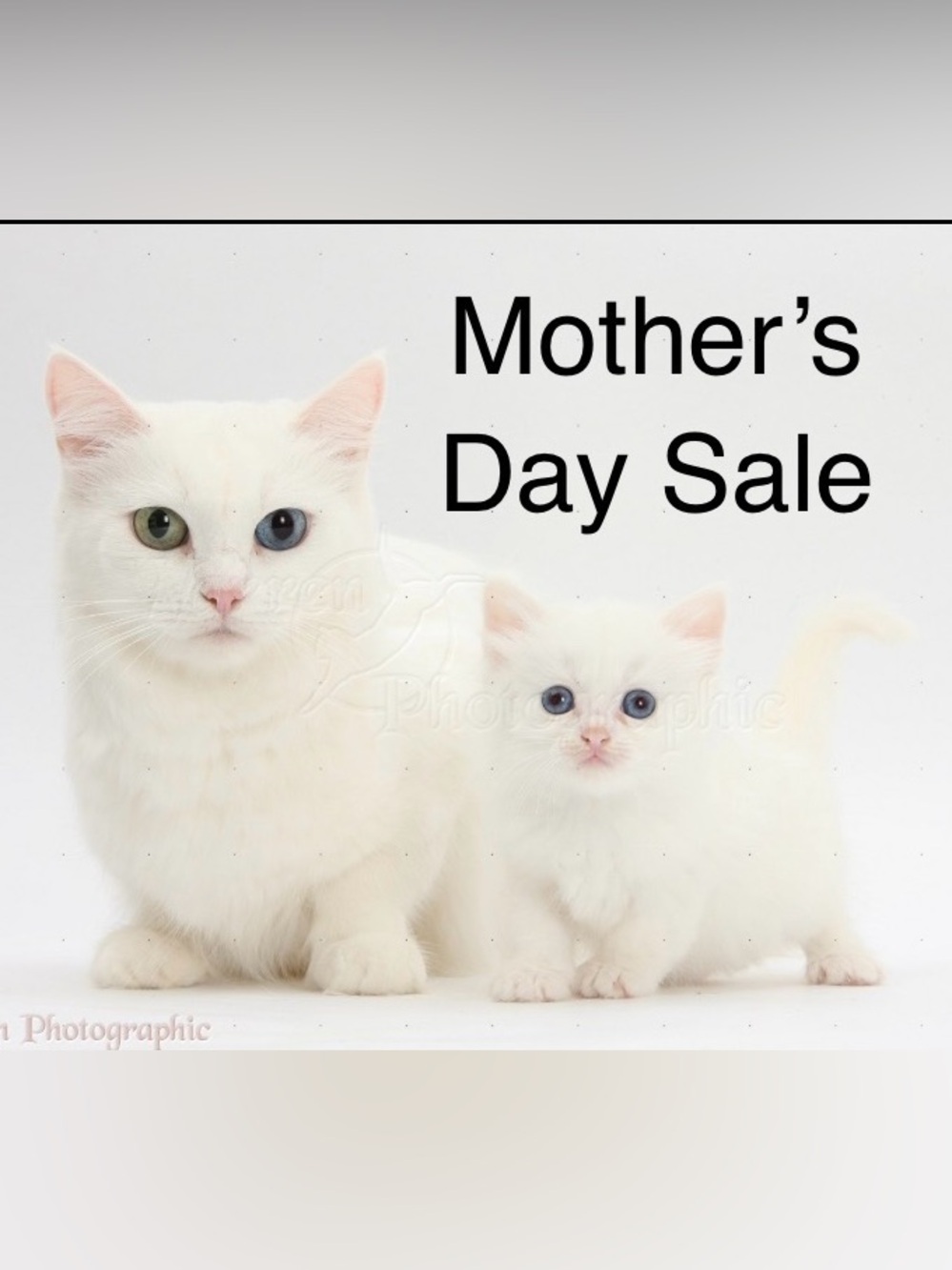 Mother's Day Sale For The Month of May.
